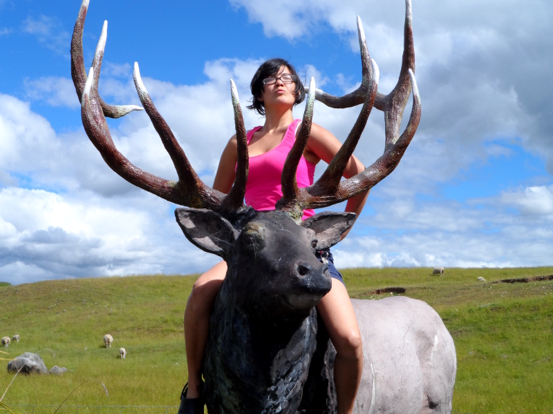 Lifelong Vagabonds rocking it on a moose statue
