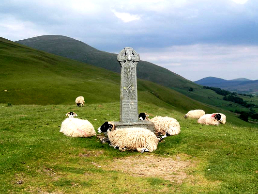 sheep resting at the monument below Skiddaw